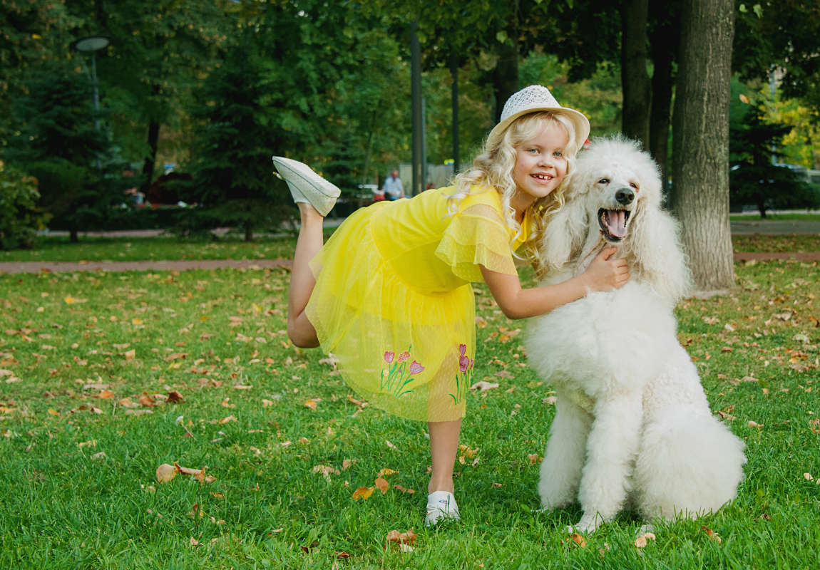 Счастливы вместе автор  Филипп  Махов на PhotoGeek.ru #Девочка #Жёлтое платье #Королевский пудель #Парк #Сквер #Улица #Фотосессия