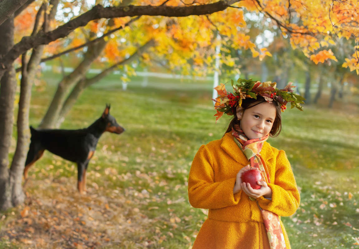 Осень пришла автор  Филипп  Махов на PhotoGeek.ru #Девочка #Желтизна осени #Краски осени #Осень #Парк #Постановочное фото #Природа #Прогулка #Улица #Фотография #Чёрная собачка #Яркие краски