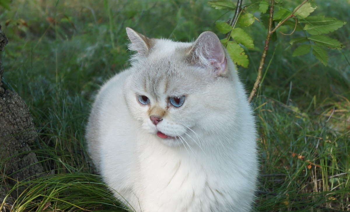�����. ����� ������  �� PhotoGeek.ru #�������� ���