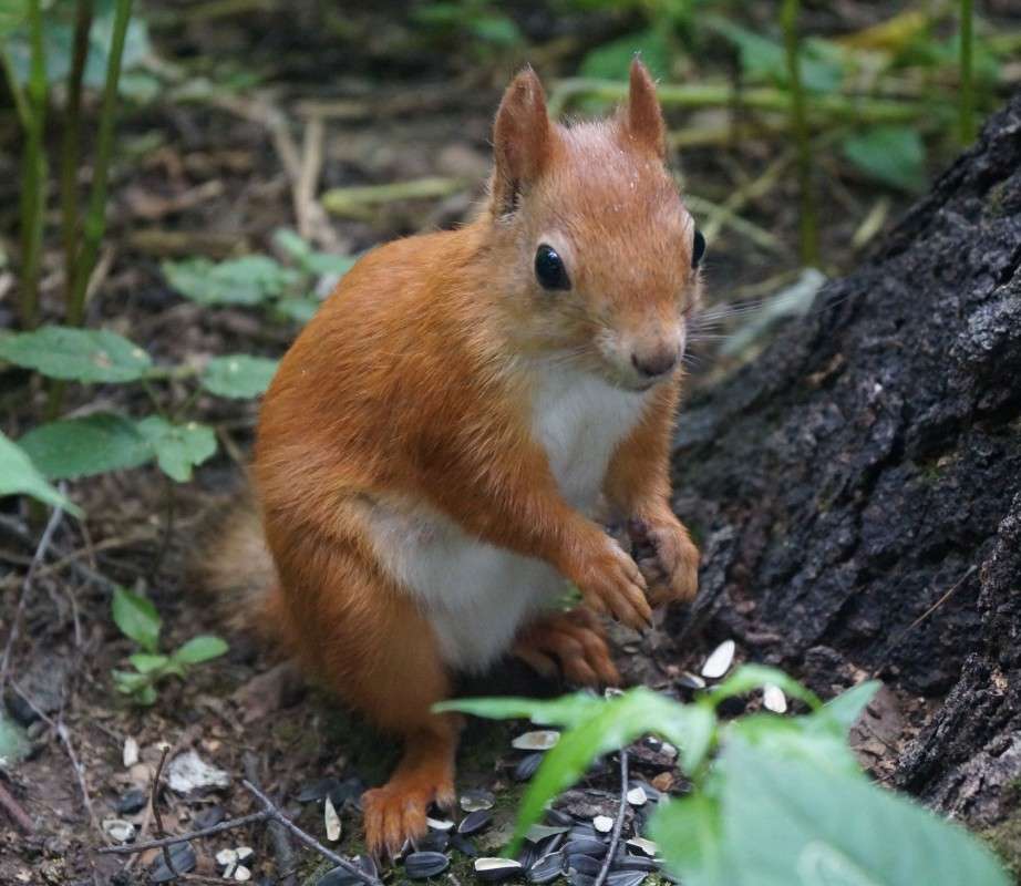 �������. ����� ������  �� PhotoGeek.ru #�������� ���