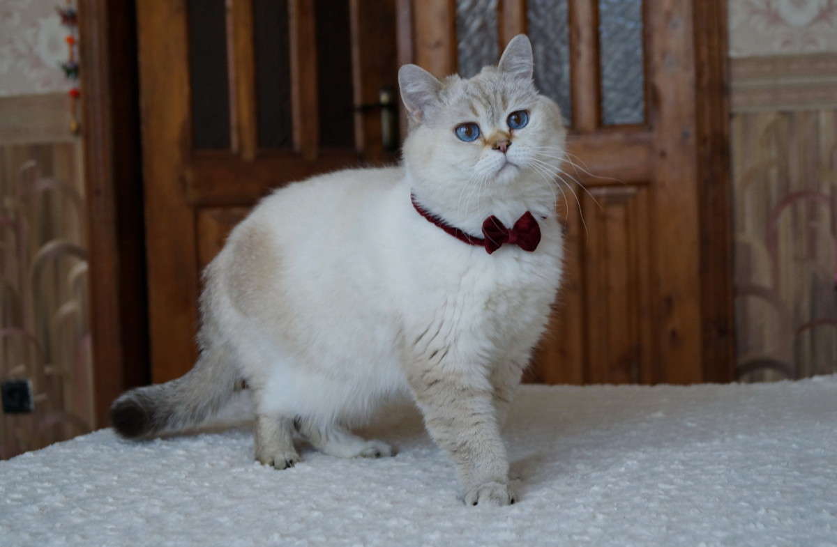 ����������. ����� ������  �� PhotoGeek.ru #�������� ���