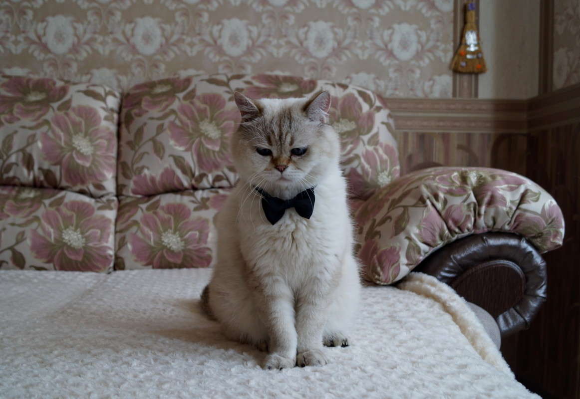 ���������. ����� ������  �� PhotoGeek.ru #�������� ���