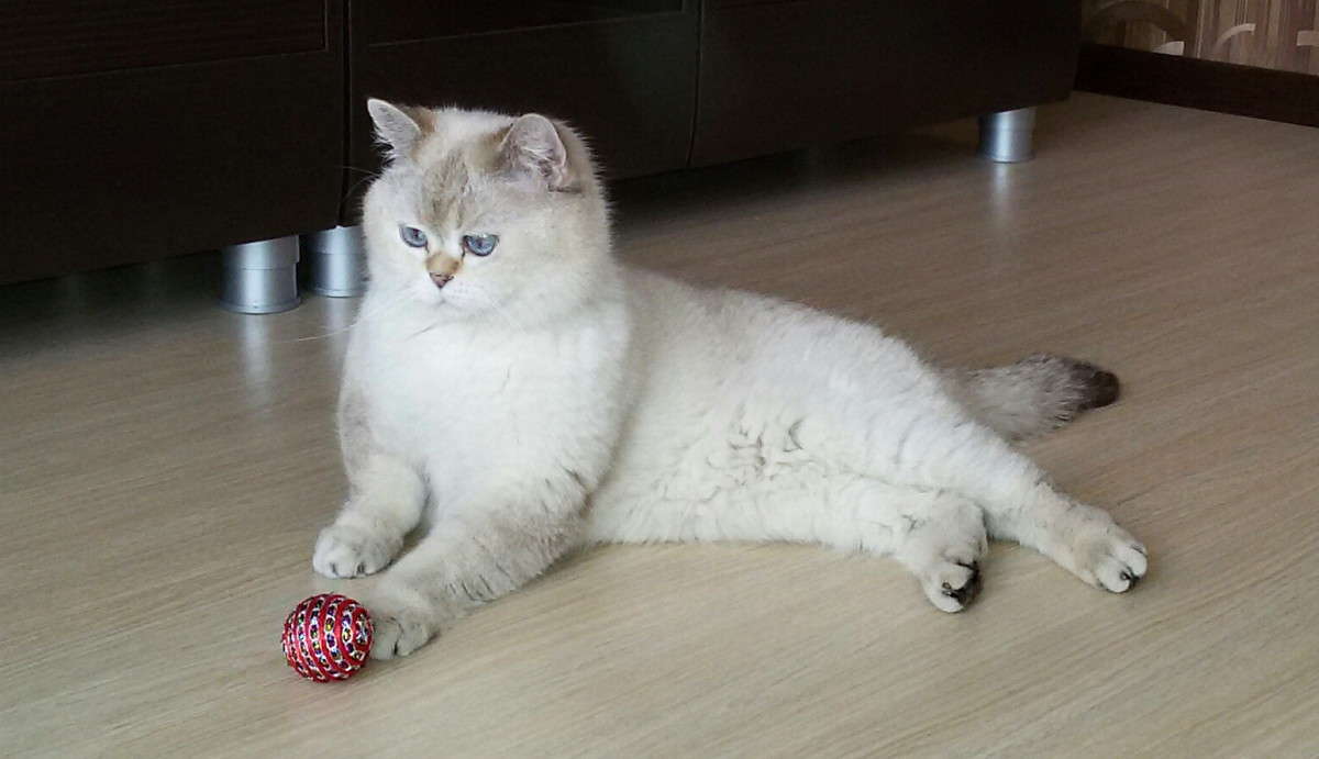 ����� � �������. ����� ������  �� PhotoGeek.ru #�������� ���