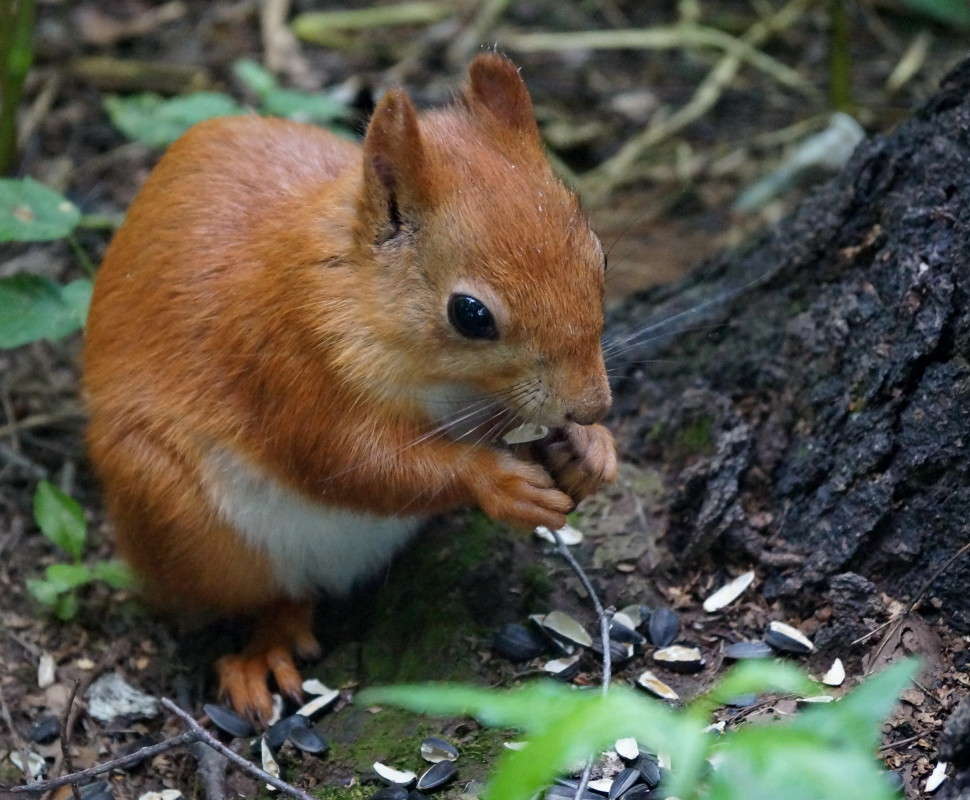 � ����� ������� ����, ����� ������� �����. ����� ������  �� PhotoGeek.ru #�������� ���