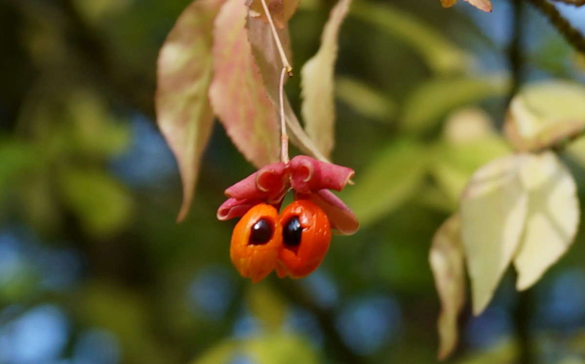 ������� ������. ����� ������  �� PhotoGeek.ru #����� ��������������