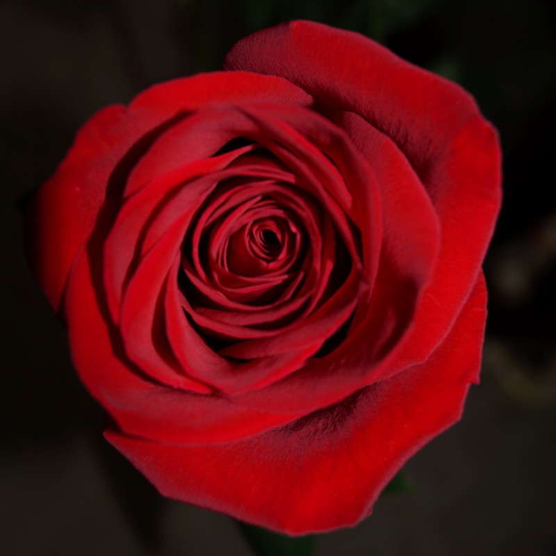 ����. ����� ������  �� PhotoGeek.ru #����� #����� ��������������