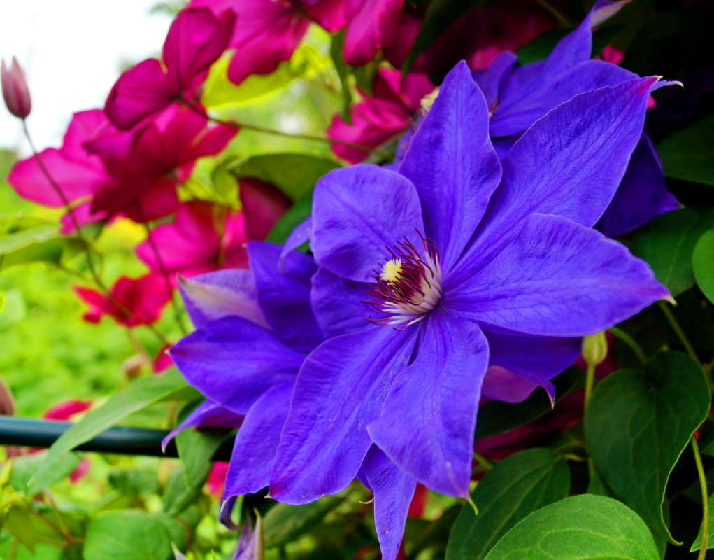 ��������. ����� ������  �� PhotoGeek.ru #����� #����� ��������������