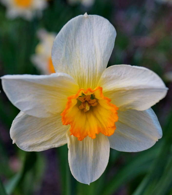 ������. ����� ������  �� PhotoGeek.ru #����� #����� ��������������