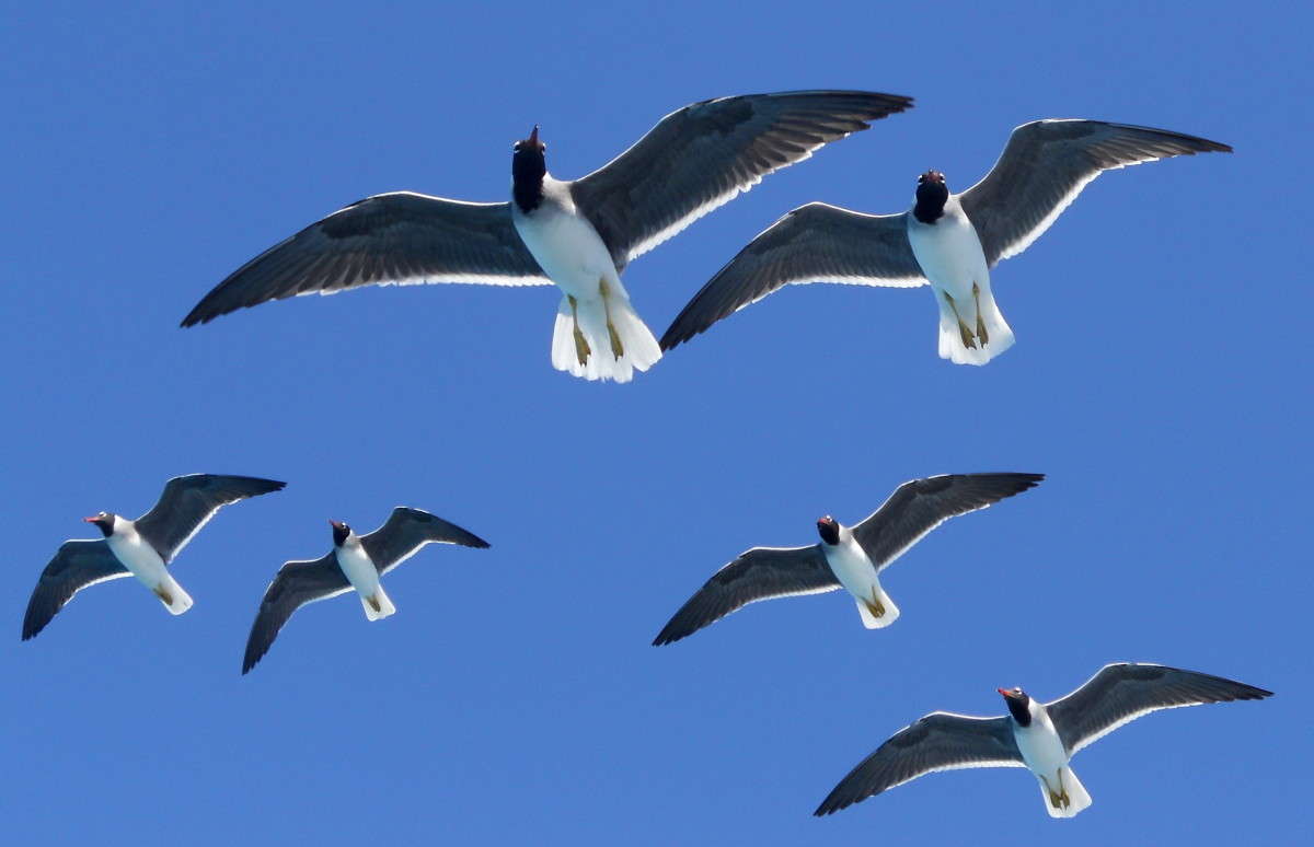 ������������� ����� ������  �� PhotoGeek.ru #�������� ���