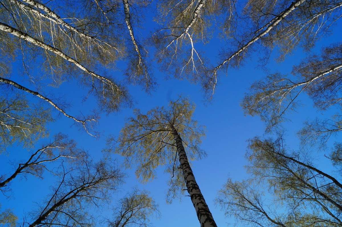 �������. ����� ������  �� PhotoGeek.ru #������ ��� �������