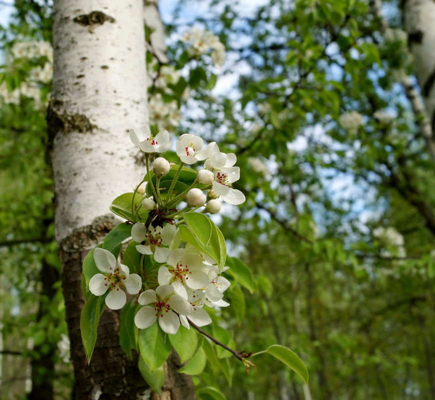 �������� ����� ������  �� PhotoGeek.ru #������ ��� ������� #����� ��������������