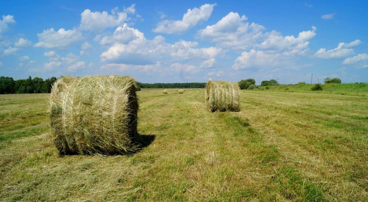 ���� ����� ������  �� PhotoGeek.ru #������ ��� ������� #������