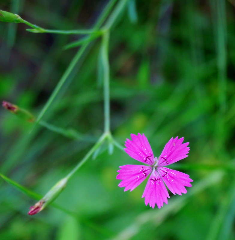 ... ����� ������  �� PhotoGeek.ru #����� ��������������