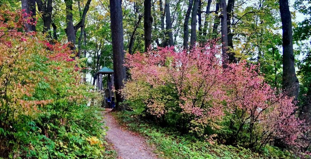 � ������ � ����� � �����. ����� ������  �� PhotoGeek.ru #������ ��� �������