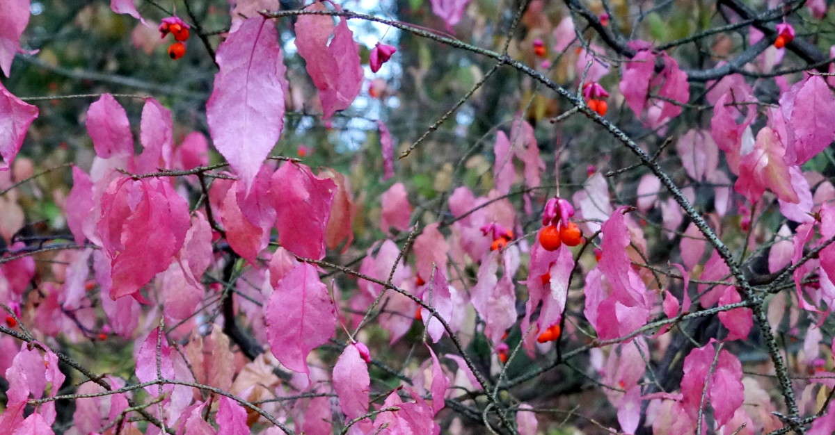 ������� ��������. ����� ������  �� PhotoGeek.ru #������ ��� ������� #����� ��������������