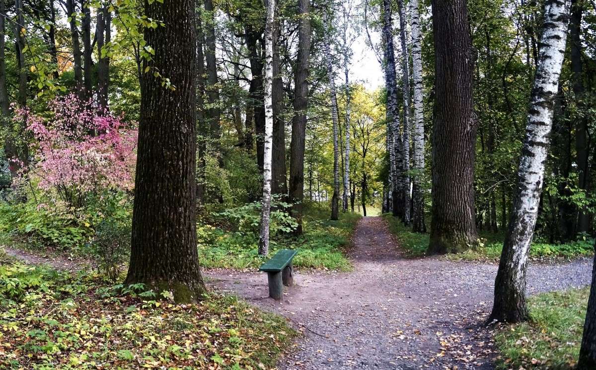 ...�� �������� ���������, ����� ���, ��� ������� ����. ����� ������  �� PhotoGeek.ru #������ ��� �������