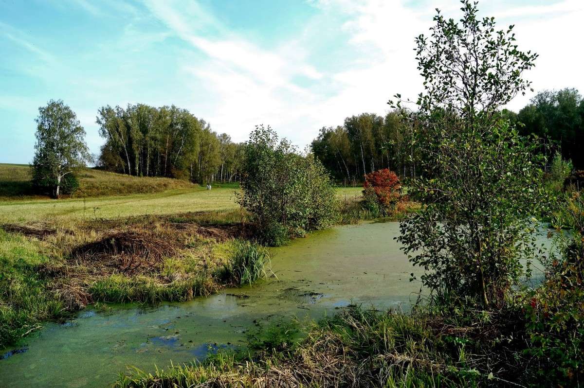 ����� �������� ����� �� ����. ����� ������  �� PhotoGeek.ru #������ ��� �������