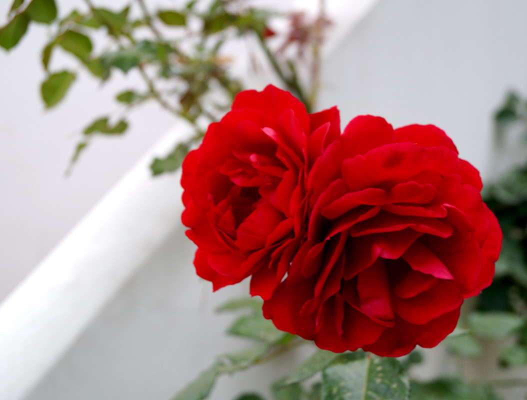 �������. ����� ������  �� PhotoGeek.ru #����� ��������������