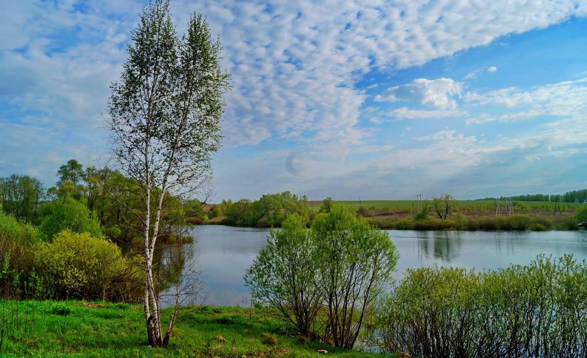 ������-���������. ����� ������  �� PhotoGeek.ru #������ ��� �������