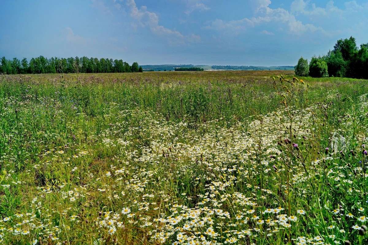 ���������� ����. ����� ������  �� PhotoGeek.ru #������ ��� �������