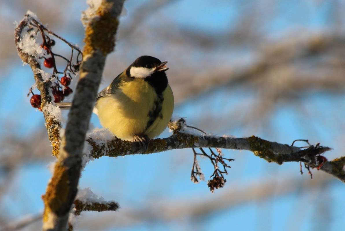 ������� ����� ����� ������� ������� �� PhotoGeek.ru #�������� ��� #������ ��� �������