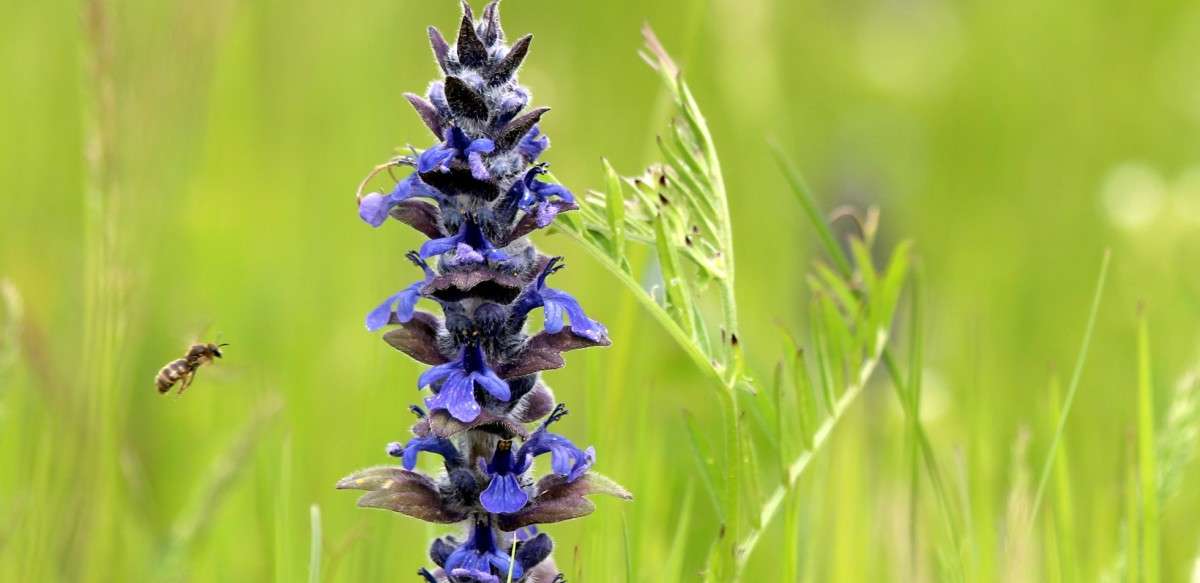 ��������� ���� ������ ����� ������� ������� �� PhotoGeek.ru #�������� ���