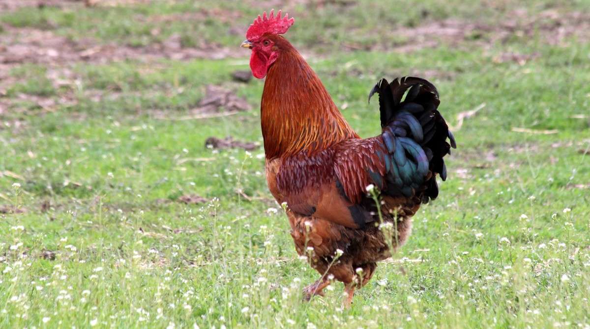 ������� ������� ����� ������� ������� �� PhotoGeek.ru #�������� ���