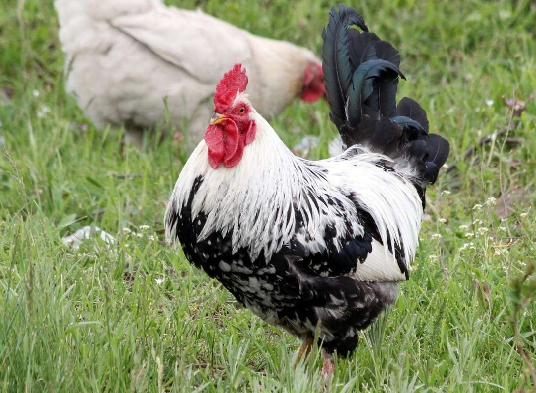 �������� ���� ����� ������� ������� �� PhotoGeek.ru #�������� ���