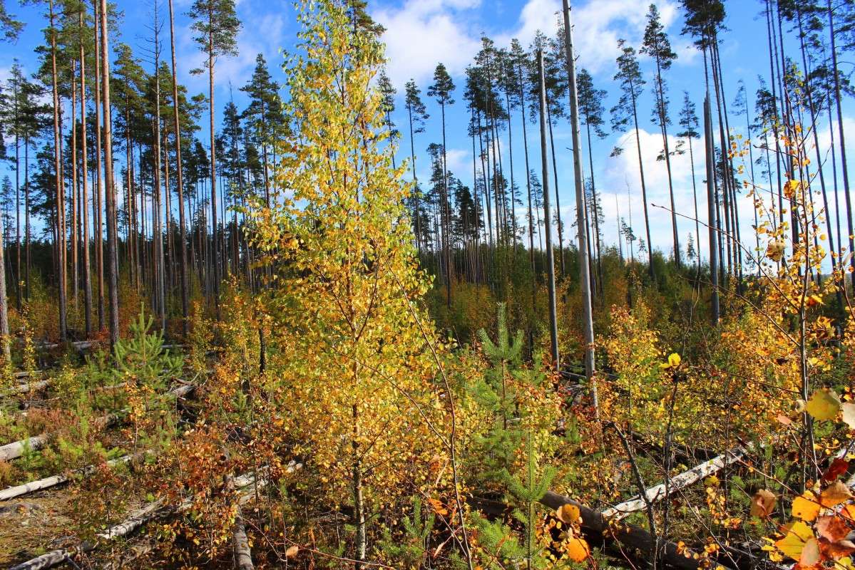 ����� �� �� ������ ����� ������� ������� �� PhotoGeek.ru #������ ��� ������� #����� �������������� #��������� #����� ��������