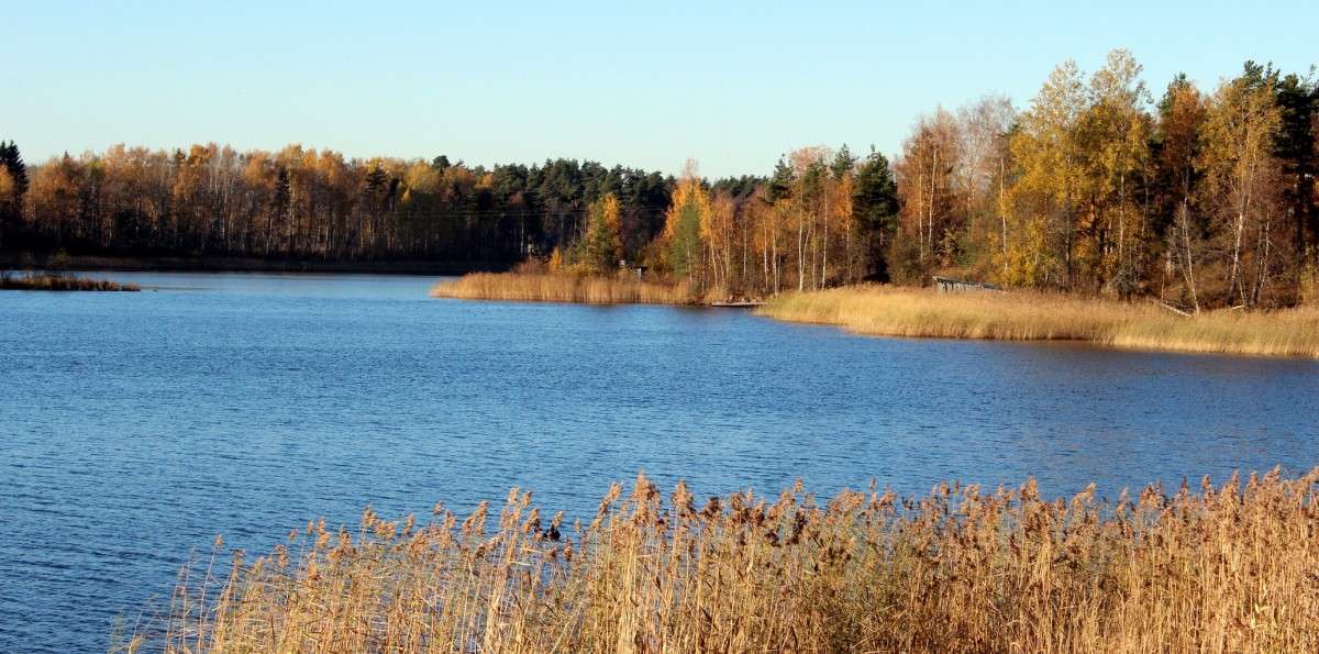 ����� � ������� ����� ������� ������� �� PhotoGeek.ru #������ ��� �������