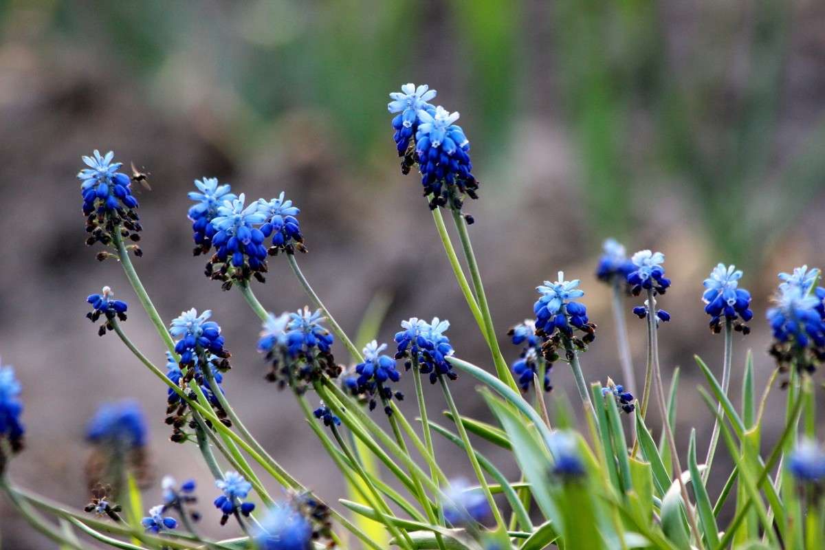 ������� �������� ����� ������� ������� �� PhotoGeek.ru #������ ��� �������