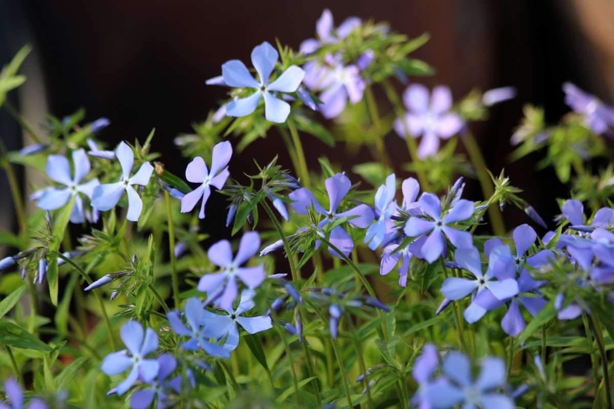 �������� ������ ����� ������� ������� �� PhotoGeek.ru #������ ��� �������