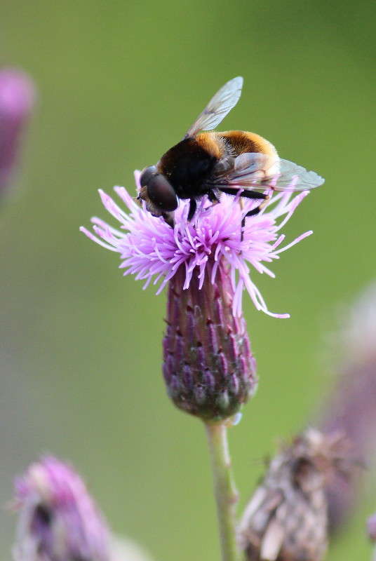 �������� ����� ������� ������� �� PhotoGeek.ru #������ ��� ������� #���������