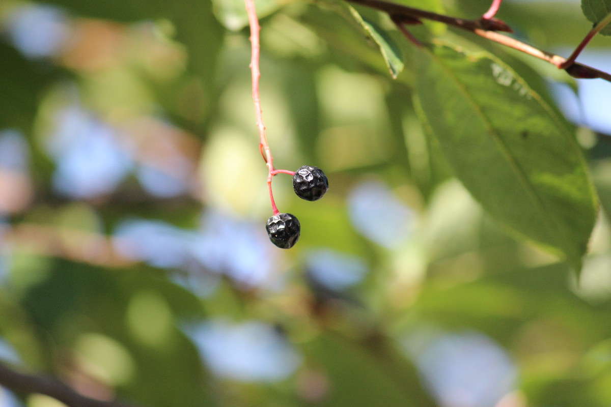 �������� ���������. ����� ������� ������� �� PhotoGeek.ru #������ ��� �������