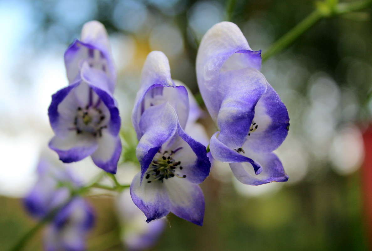 ��������� ����� ������� ������� �� PhotoGeek.ru #������ ��� �������