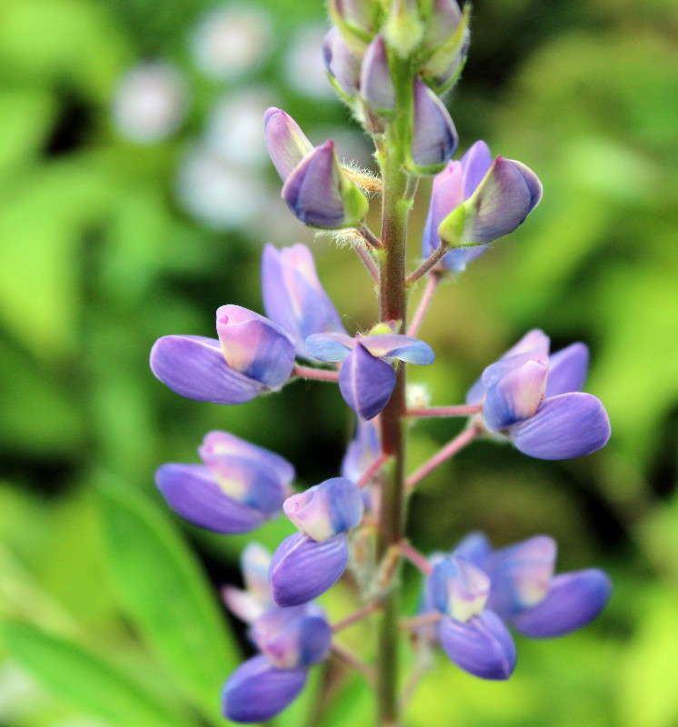 ������� �������! ����� ������� ������� �� PhotoGeek.ru #������ ��� �������