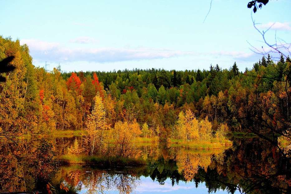 ������ ������� ����� ������� ������� �� PhotoGeek.ru #������ ��� �������