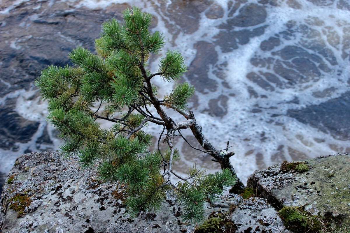 � �� ������ ������ �������...... ����� ������� ������� �� PhotoGeek.ru #������ ��� �������