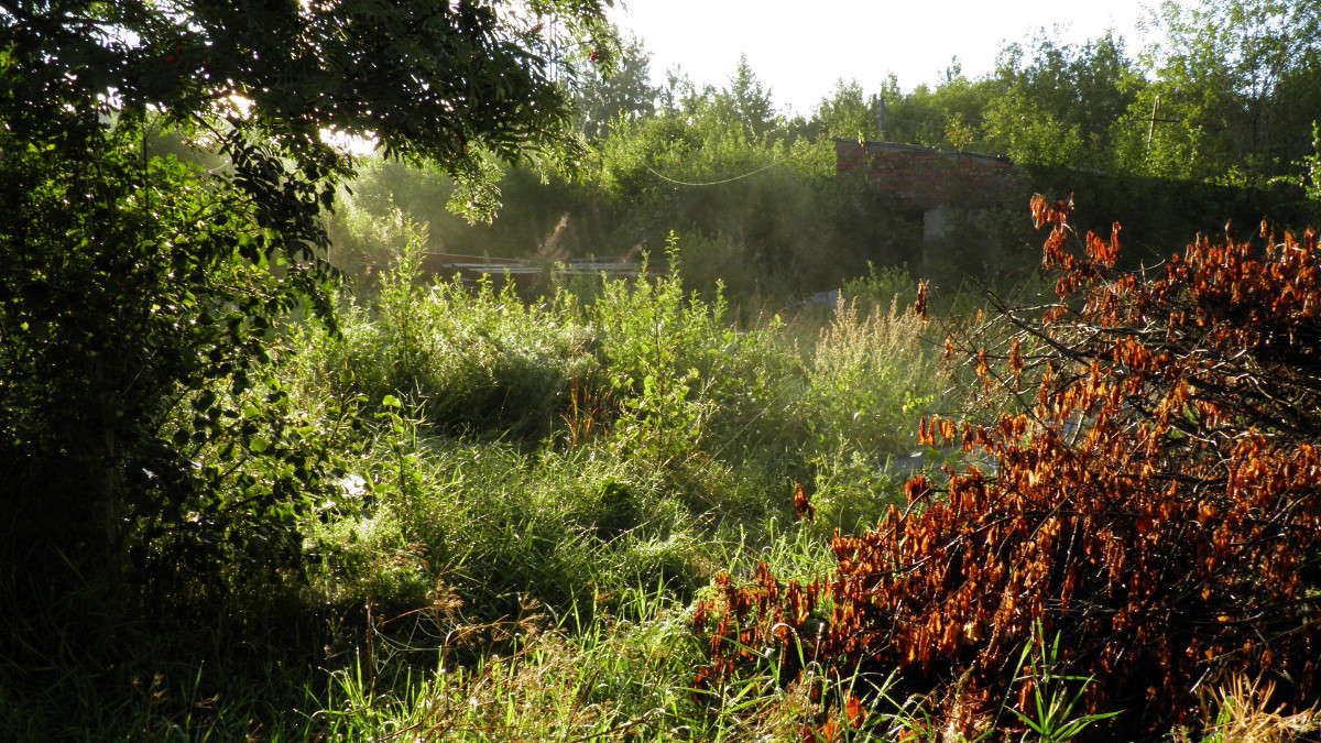 ������ ���� ����� ������� ������� �� PhotoGeek.ru #������ ��� �������