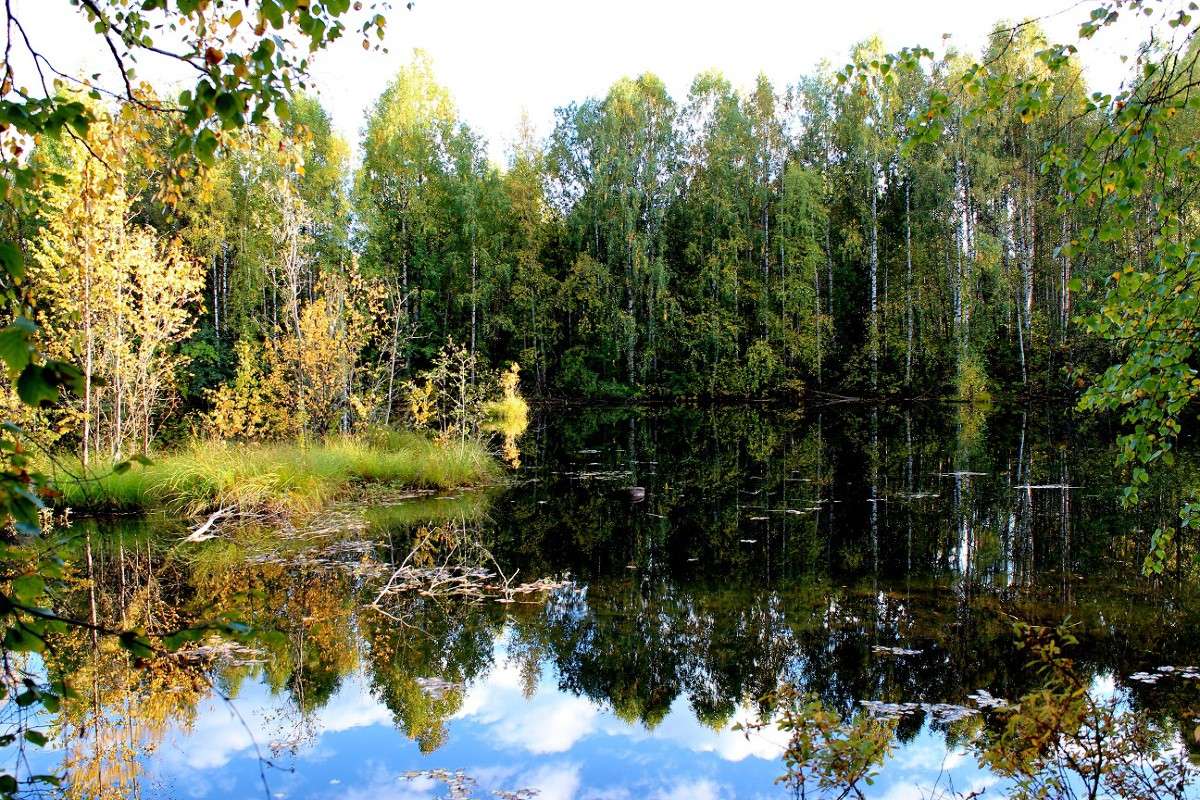 ��������� ������� ����� ������� ������� �� PhotoGeek.ru #������ ��� �������