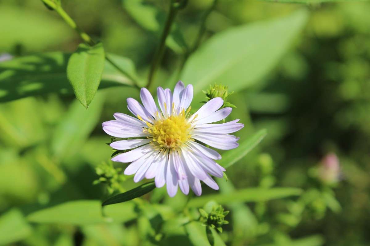 ������� ������� ����� ������� ������� �� PhotoGeek.ru #������ ��� �������