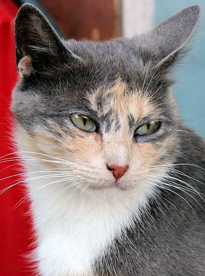 ����� ������ ����� ������� ������� �� PhotoGeek.ru #�������� ���