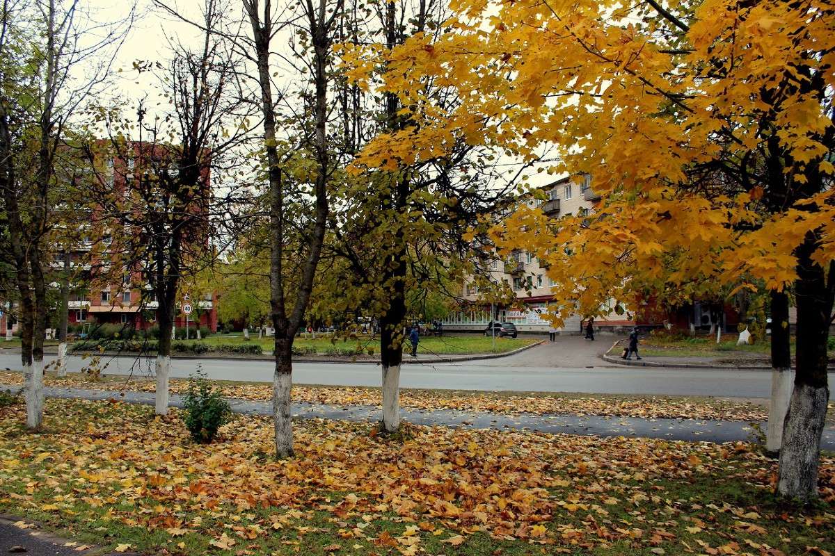 ������� ���� ����� ������� ������� �� PhotoGeek.ru #������ ��� �������