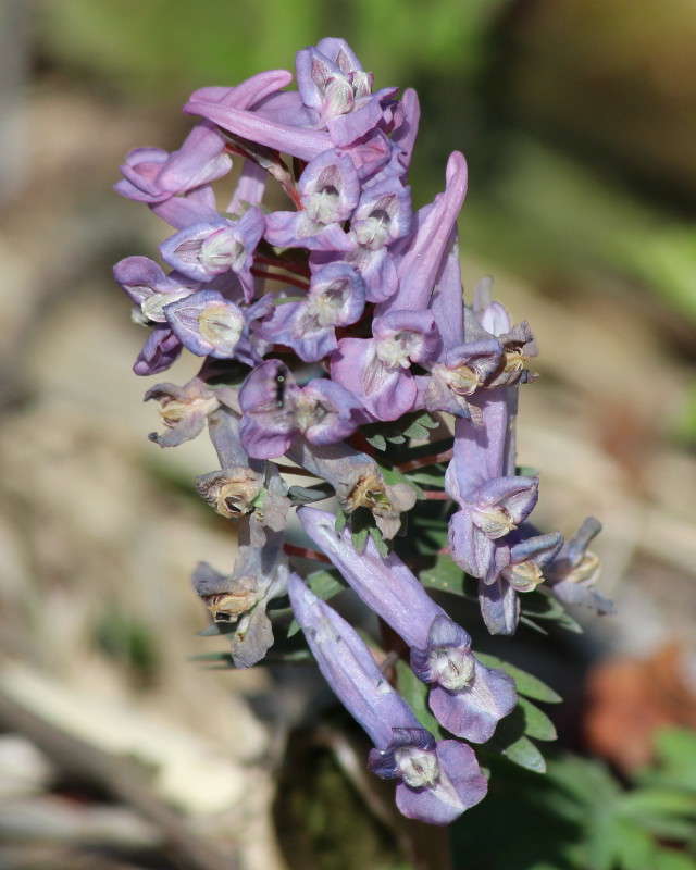 ��������� ��������. ����� ������� ������� �� PhotoGeek.ru #������ ��� �������