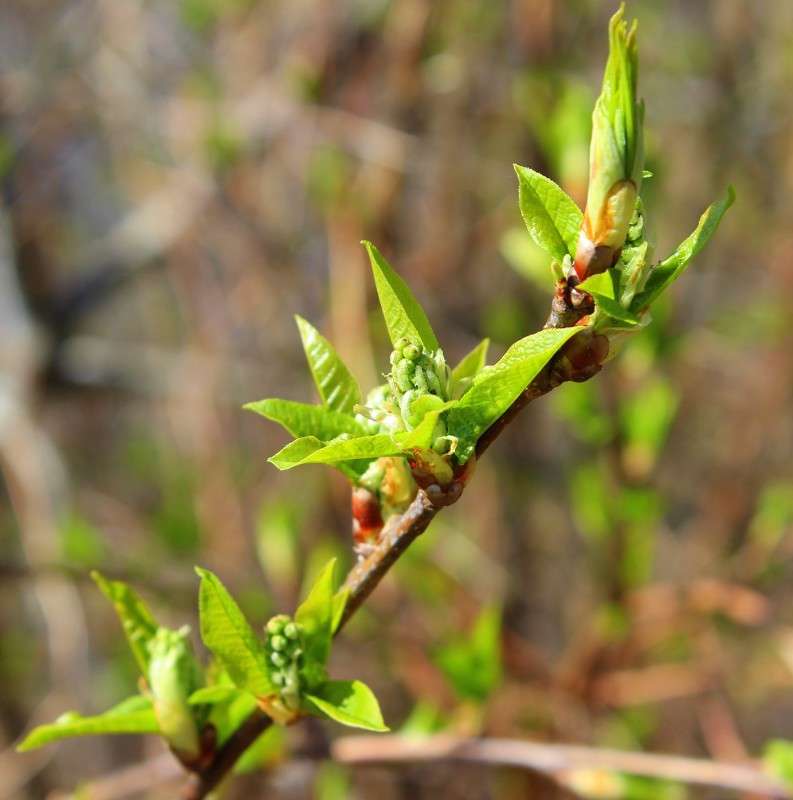 ����� ��������� ����� ������� ������� �� PhotoGeek.ru #������ ��� �������