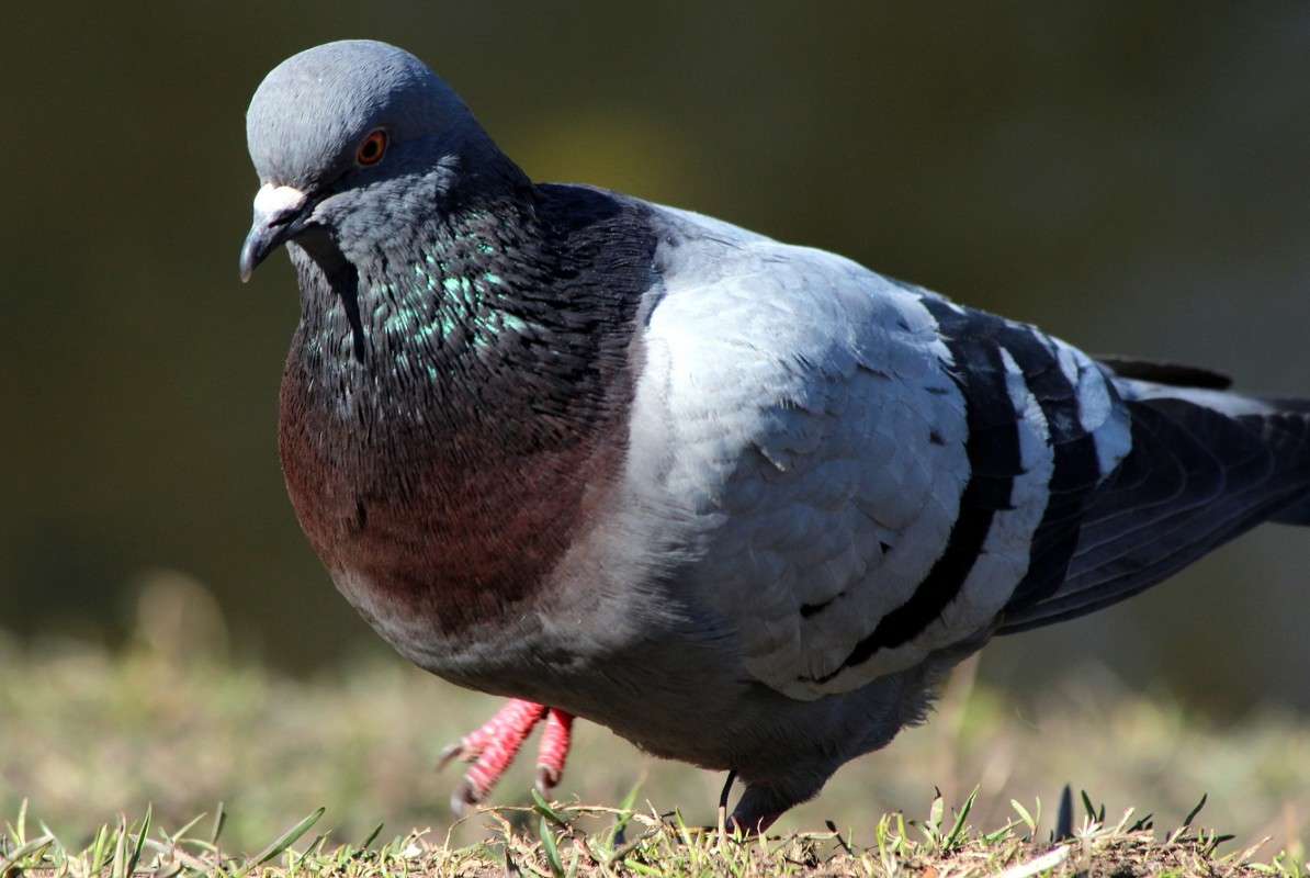 ���������� ��������!!!! ����� ������� ������� �� PhotoGeek.ru #�������� ���