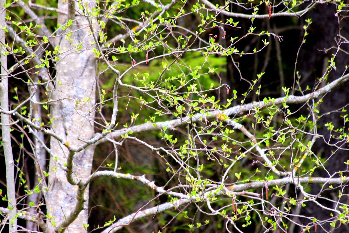 ������ ������ ����� ������� ������� �� PhotoGeek.ru #������ ��� �������