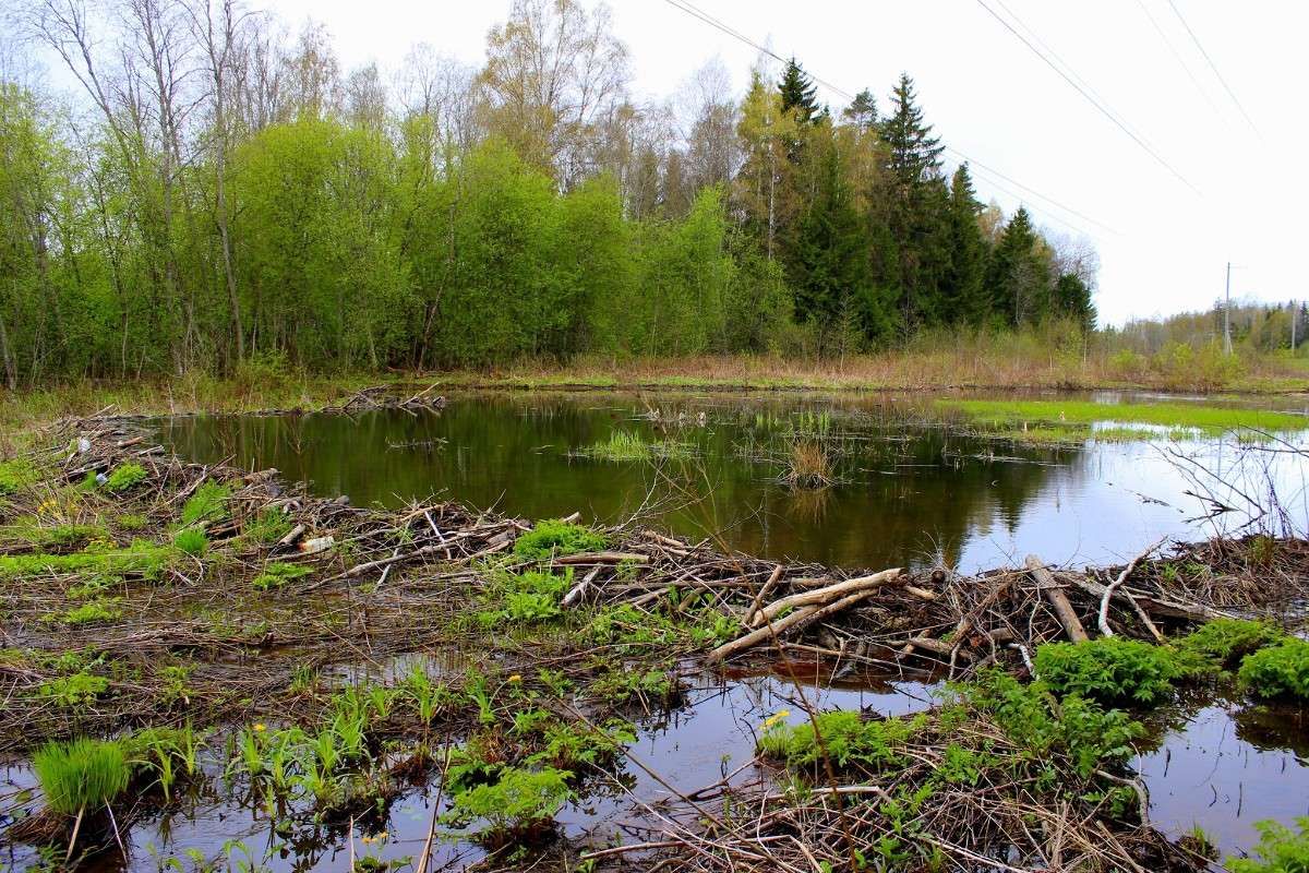 �������� ����� ����� ������� ������� �� PhotoGeek.ru #������ ��� �������