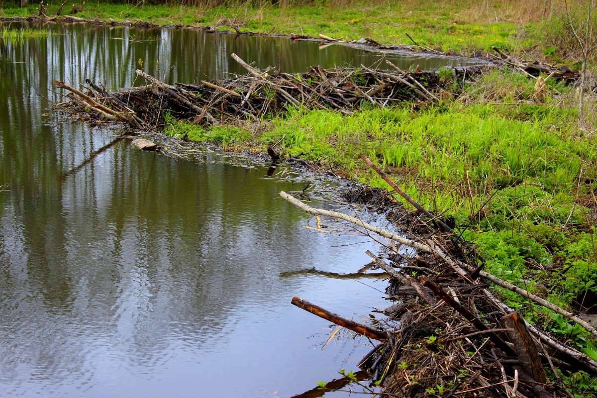 ����� ���� �������� ����� ������� ������� �� PhotoGeek.ru #������ ��� �������