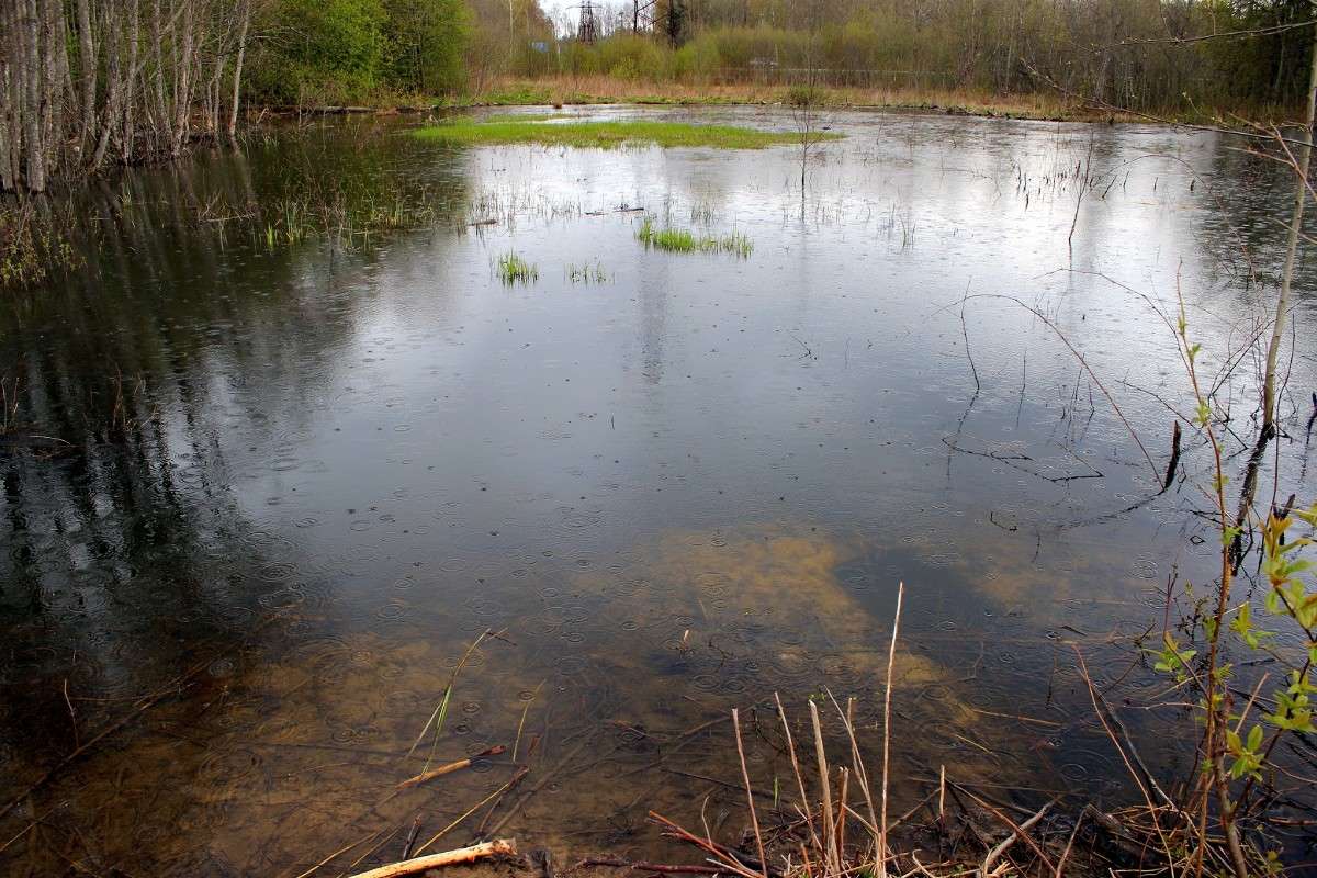 ��������� ����� ����� ������� ������� �� PhotoGeek.ru #������ ��� �������